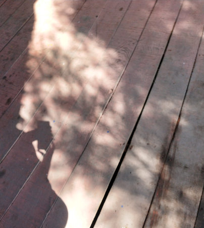 Shadow of a man on a wooden floor in the shade of a tree
