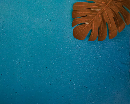 Tropical leaves on blue background. Copy space for text.の写真素材