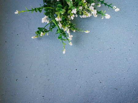 Bouquet of small white flowers on a blue background. Place for text.の写真素材