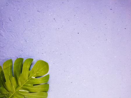 Monstera leaves on a purple background. Flat lay, top view.