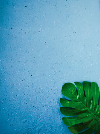 Tropical leaves on a blue background with copy space for textの写真素材