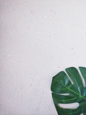 Tropical leavesle background. Flat lay, top view.の写真素材