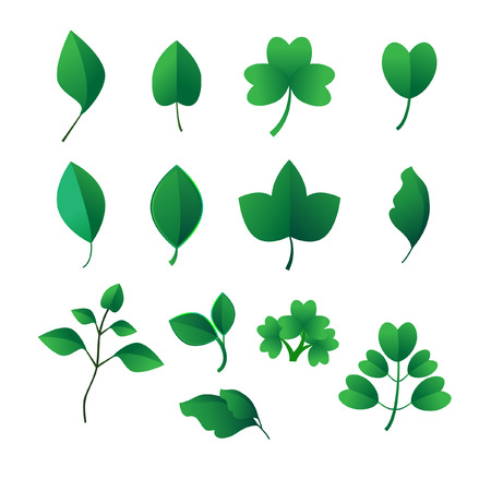 Green leavesのイラスト素材
