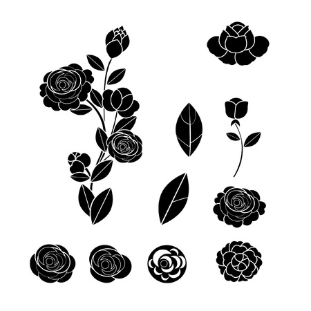 back roseのイラスト素材