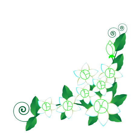Jasmine flower のイラスト素材