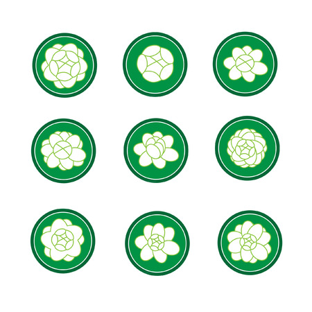 Jasmine banner in a green cirle vectorのイラスト素材
