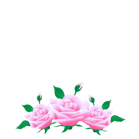 Rose backgroundのイラスト素材