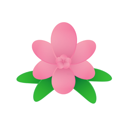 Flower on white backgroundのイラスト素材
