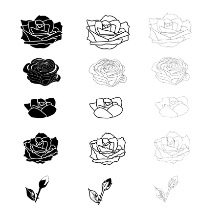 Rose pattern vectorのイラスト素材