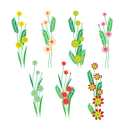 Flowers and leaves on a white backgroundのイラスト素材