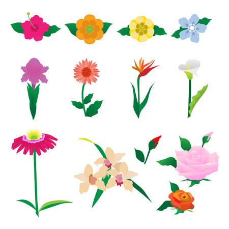Beautiful colorful flowers vectorのイラスト素材
