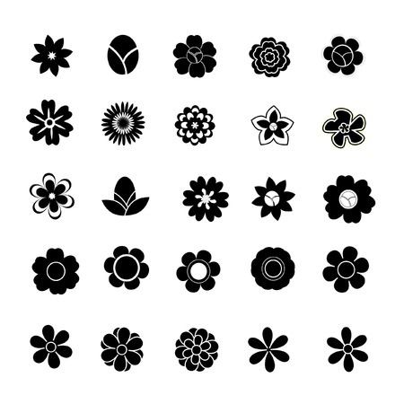 Floral on white backgroundのイラスト素材