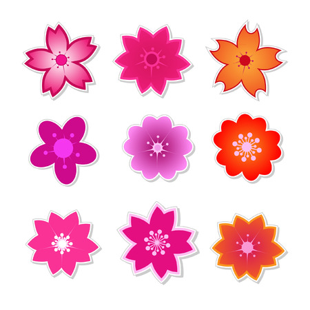 Cute flower Sakura vectorのイラスト素材
