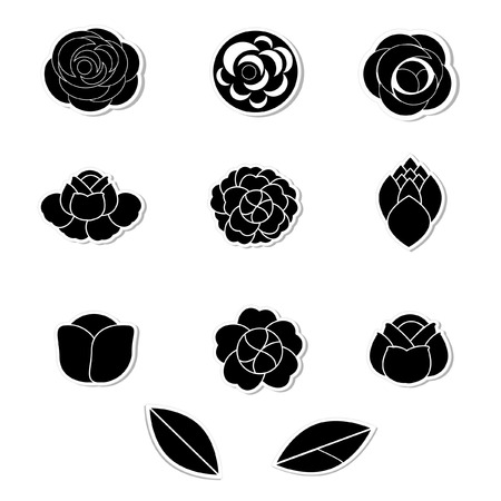 Flower vector on white backgroundのイラスト素材