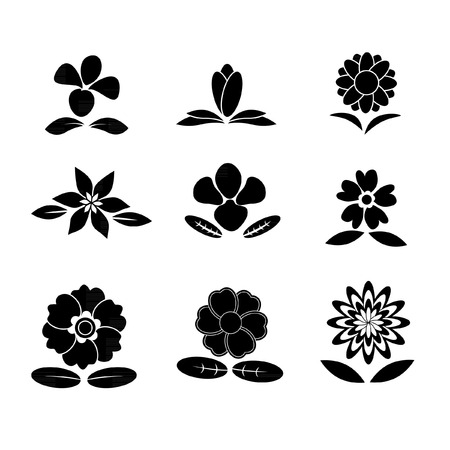 Flower back and white vectorのイラスト素材