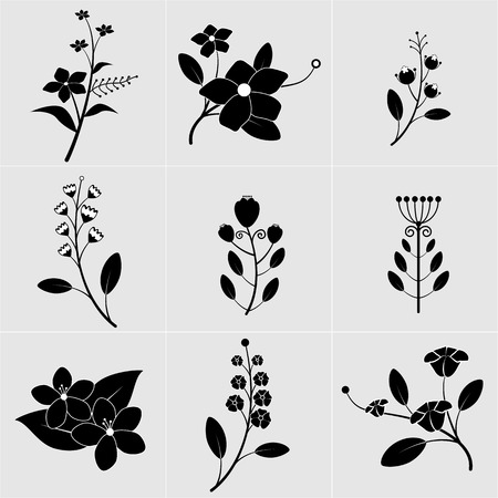 Black and white flower with leavesのイラスト素材
