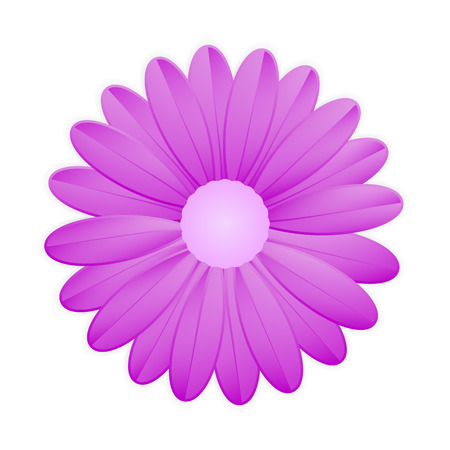 Purple flower illustration.のイラスト素材