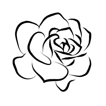 Line drawing of black roses in a white backgroundのイラスト素材