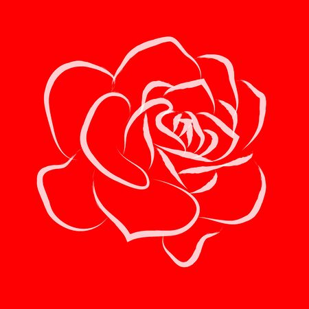 Line drawing of white roses in a red backgroundのイラスト素材
