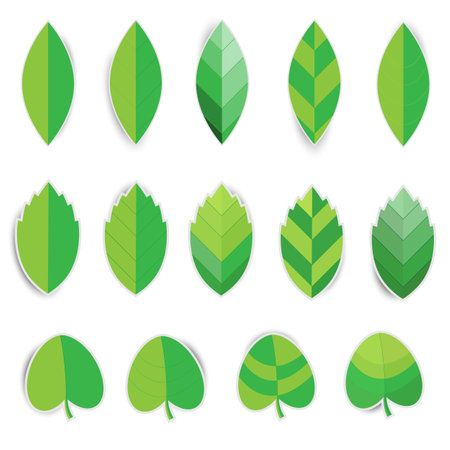 Paper leaf with shadow sticker on white backgroundのイラスト素材