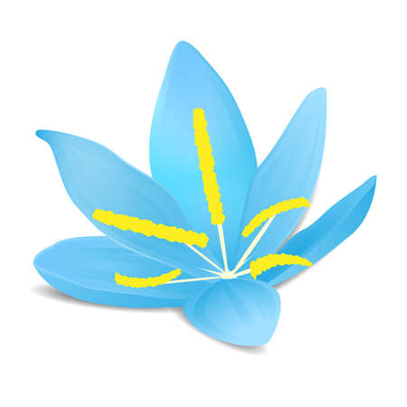Blue flower with shadow on white backgroundのイラスト素材