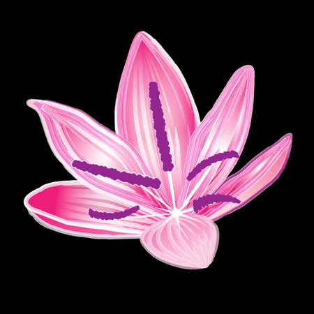 Watercolor painting of pink flowersの写真素材