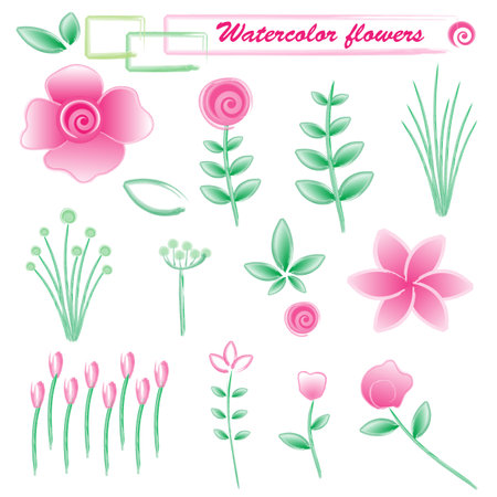 Watercolor flowers on white backgroundの写真素材