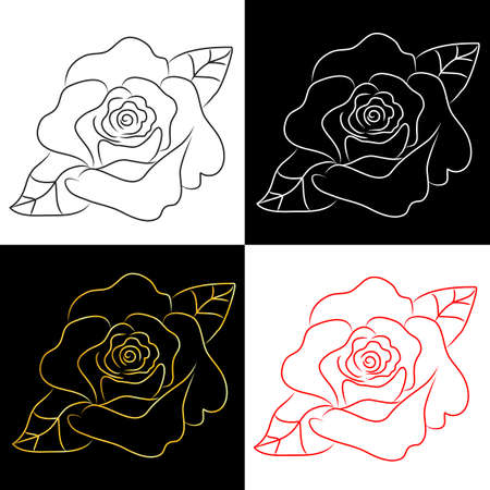 Set of rose line drawingsのイラスト素材