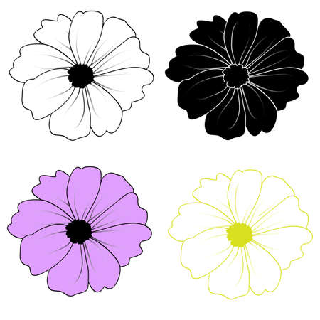 Eight petal flower pattern on white backgroundの写真素材