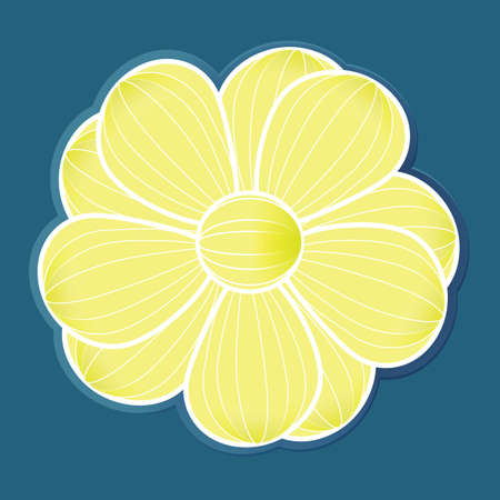 White and yellow striped flowersの写真素材