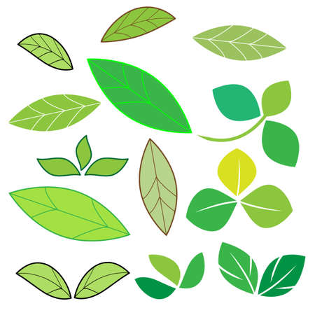 Set of green leaves icons on a white backgroundのイラスト素材