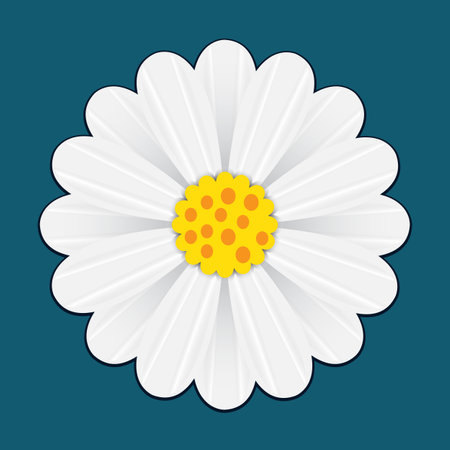 White flower petals on a blue backgroundの写真素材