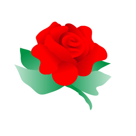 Red rose with leaf on white backgroundのイラスト素材