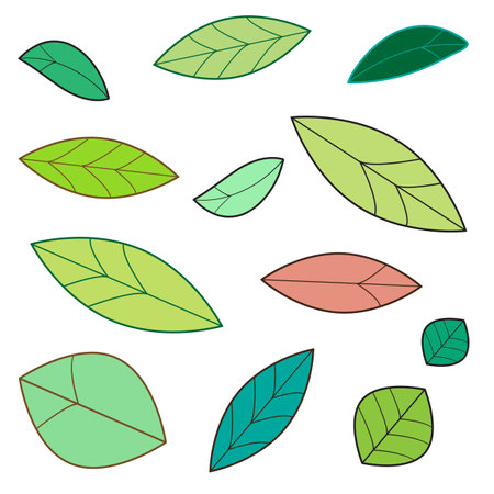 A set of colorful leaves of various stylesのイラスト素材