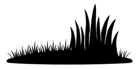 Grass silhouette lawn bush of grass in sketch doodle style on white backgroundのイラスト素材