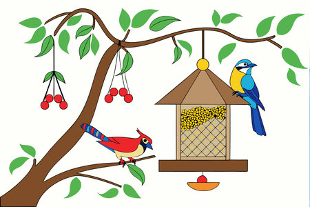 Bird feeder on the tree branch and different eating birds illustration art on white backgroundのイラスト素材