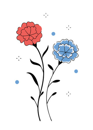 Watercolor painting of Dianthus caryophyllids illustration art on white backgroundのイラスト素材
