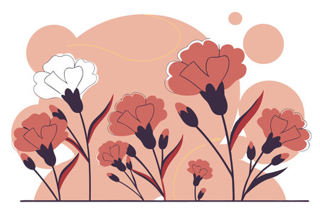 Watercolor painting of Dianthus caryophyllids illustration art on white backgroundのイラスト素材