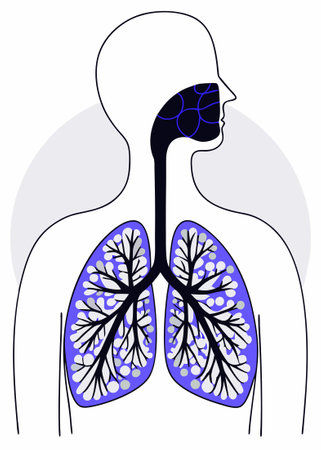Human respiratory system lung structure pulmonary bronchioles and alveoli with capillary network illustration art on white backgroundのイラスト素材