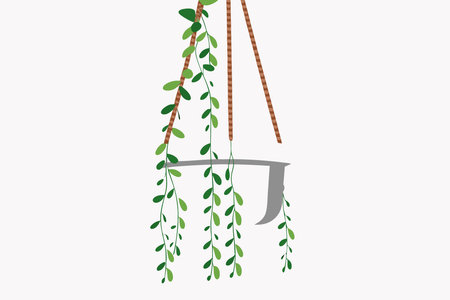 Pearl of Strings houseplant in hanging flower pot illustration art on white backgroundのイラスト素材