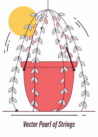 Pearl of Strings houseplant in hanging flower pot illustration art on white backgroundのイラスト素材