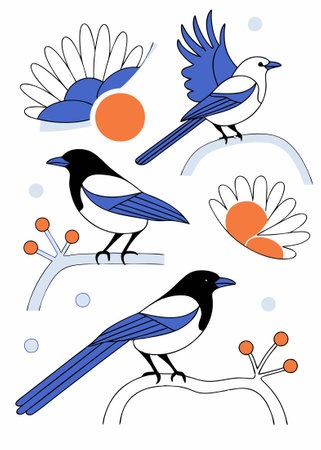 Magpie birds set Magpies in different poses illustration art on white backgroundのイラスト素材