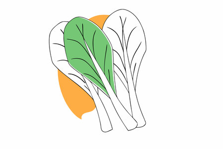 Kale watercolor paint concept illustration vector art on white backgroundのイラスト素材