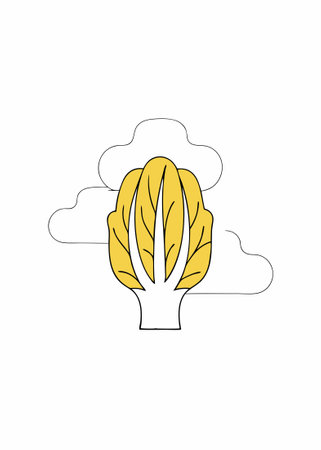 Cabbage watercolor paint concept illustration vector art on white backgroundのイラスト素材