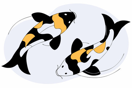 Beautiful Koi fishes' watercolor paint concept illustration vector art on white backgroundのイラスト素材