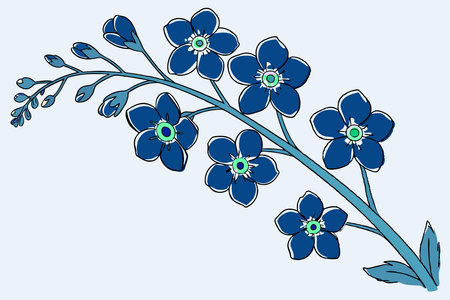 Forget-me-not flowers watercolor paint concept illustration vector art on white backgroundのイラスト素材