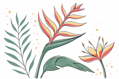 Heliconia flower watercolor paint collection concept illustration vector art on white backgroundのイラスト素材