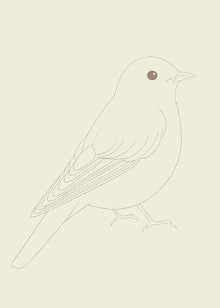 Minimalist Bird on white backgroundのイラスト素材