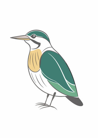Minimalist Bird on white backgroundのイラスト素材