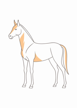 Minimalist Horse on white backgroundのイラスト素材